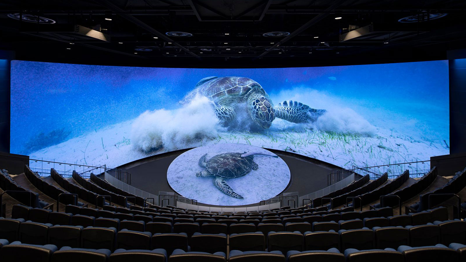 Honda Pacific Visions 4D theater at Aquarium of the Pacific with Ultraleap haptic technology