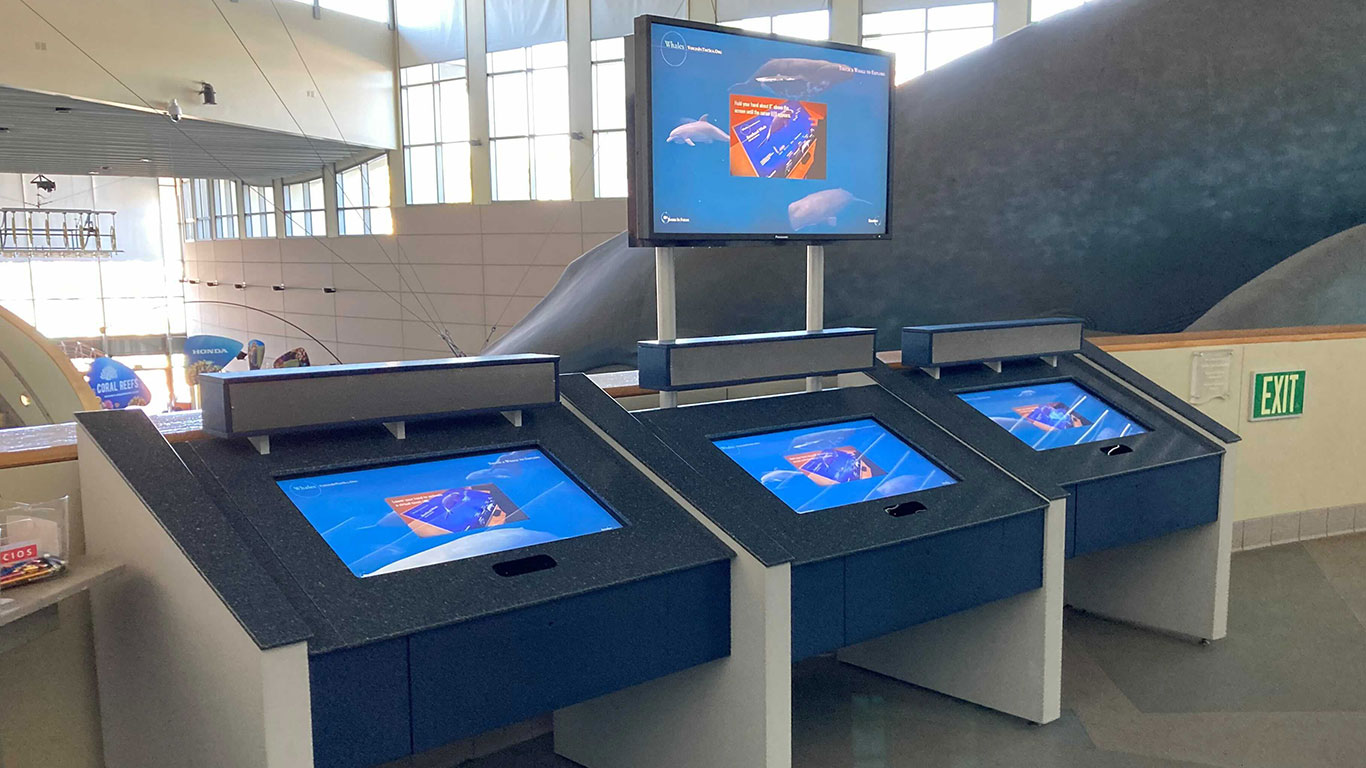 Touchless interactive exhibit at the Aquarium of the Pacific